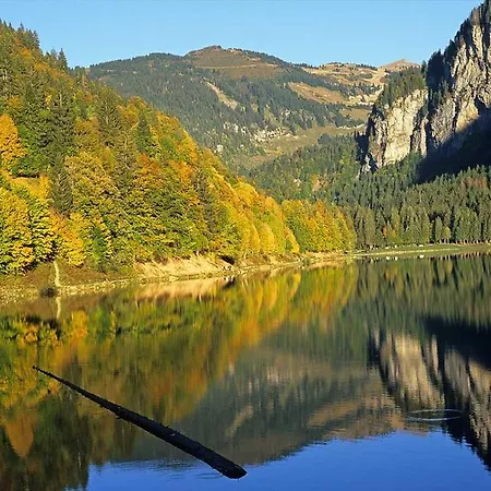 Du Montrond Montriond